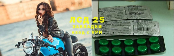 мет Алексин