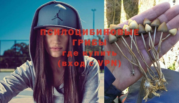 прущий лед Алзамай