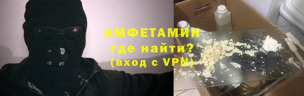 мет Алексин