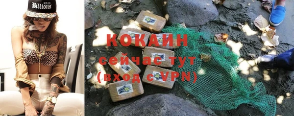прущий лед Алзамай