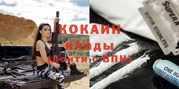 прущий лед Алзамай