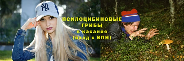 прущий лед Алзамай