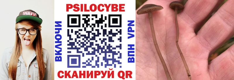 как найти наркотики  блэк спрут рабочий сайт  Галлюциногенные грибы мицелий  Карабулак 