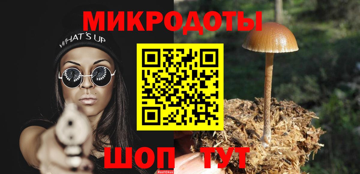 Галлюциногенные грибы Psilocybine cubensis  Псилоцибиновые грибы ЛСД  Вход с VPN  Карабулак 